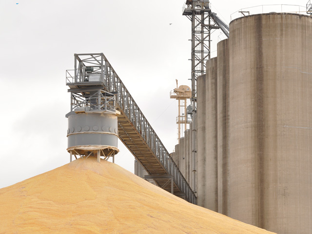 The USDA Grain Stocks report released Tuesday showed Sept. 1 corn stocks of 1.236 billion bushels, up from 821 million bushels in September 2013. (DTN file photo by Scott Kemper)